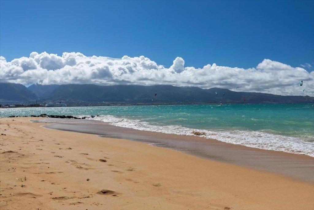Wailuku Unit 17 Maui Ohana Modern Studio מראה חיצוני תמונה